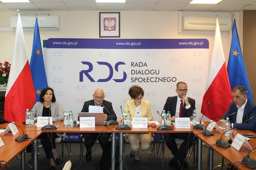 Posiedzenie plenarne RDS