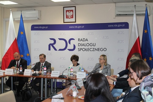 Posiedzenie plenarne RDS