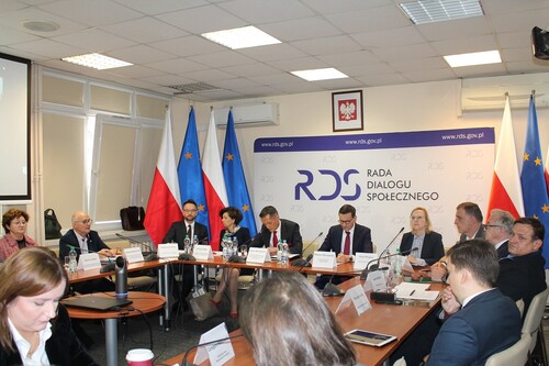 Posiedzenie plenarne RDS w dniu 7 listopada 2022 r.
