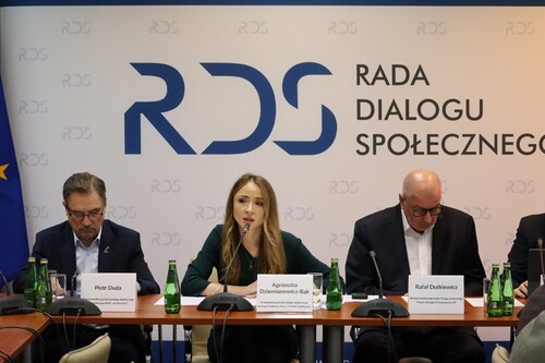 Posiedzenie plenarne RDS w dniu 15.02.2024 r.