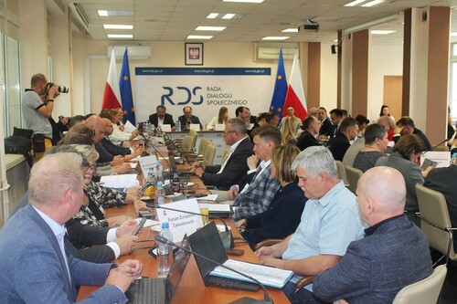 Posiedzenie plenarne RDS, 25.06.2024 r.